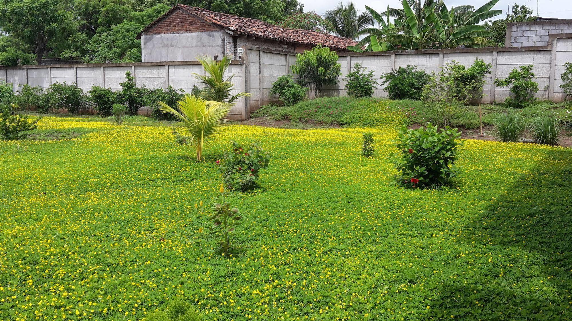 Hotel Jardín de Granada Nicaragua Exterior foto